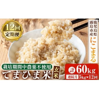 12回定期《令和7年産》てまひま米・玄米(品種:にこまる)(計60kg)【末蜜農園】K-391-G