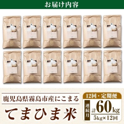 12回定期《R7年産新米》てまひま米・玄米(品種:にこまる)(計60kg)【末蜜農園】K-391-G