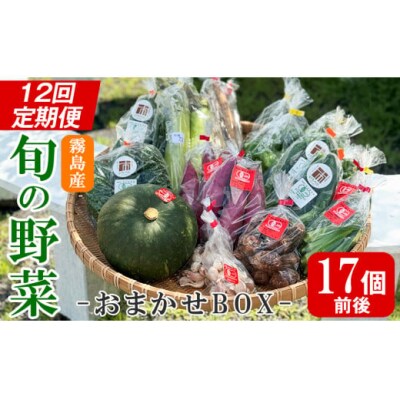 <定期便・全12回>霧島市産の野菜おまかせBOX(17個前後)【FoodBase】K-225-B 