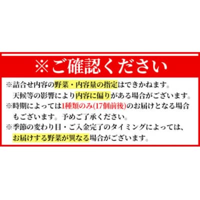 <定期便・全12回>霧島市産の野菜おまかせBOX(17個前後)【FoodBase】K-225-B 