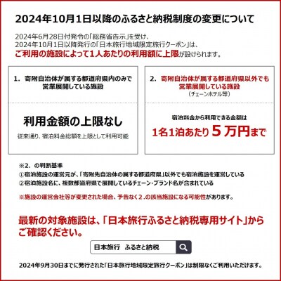 鹿児島県霧島市 日本旅行 地域限定旅行クーポン(15,000円分)【日本旅行】K-338