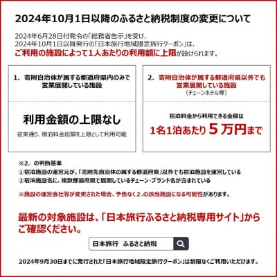 鹿児島県霧島市 日本旅行 地域限定旅行クーポン(60,000円分)【日本旅行】K-340