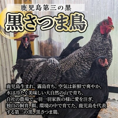 鹿児島県産黒さつま鶏 特選もも肉(計700g以上)【ビッグバード・カピリナ】K-419 