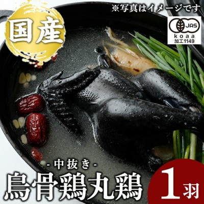 国産!オーガニック烏骨鶏丸鶏(中抜き)1羽【お多福たまご】K-333