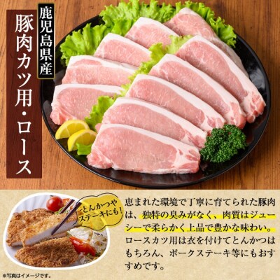 鹿児島県産 豚肉ロースカツ・ヒレカツ用(合計20枚セット)【TRINITY】K-310