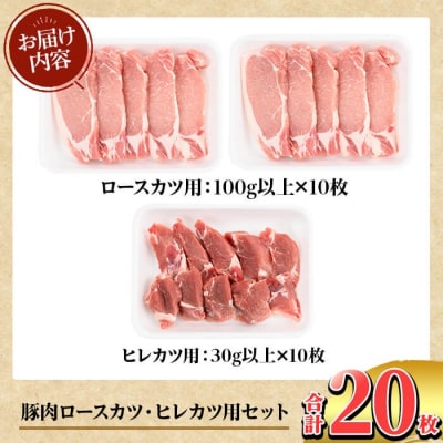 鹿児島県産 豚肉ロースカツ・ヒレカツ用(合計20枚セット)【TRINITY】K-310