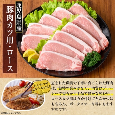 鹿児島県産 豚肉ロースカツ用(合計30枚セット)【TRINITY】K-311