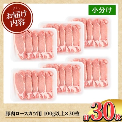 鹿児島県産 豚肉ロースカツ用(合計30枚セット)【TRINITY】K-311