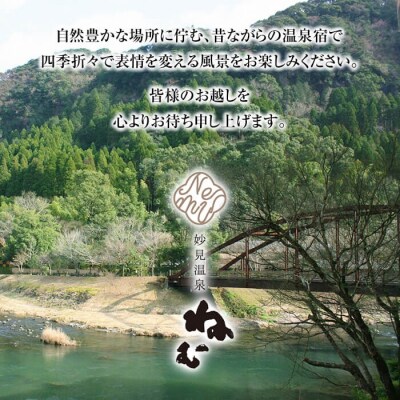 妙見温泉ねむ 宿泊利用券(30,000円分)【妙見温泉ねむ】K-428