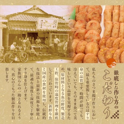 お魚食べてる?冷凍さつま揚げ100本セット(10本入り×10袋) K-537【植山かまぼこ屋】 