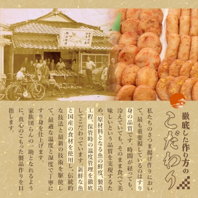 お魚食べてる?冷凍さつま揚げ100本セット(10本入り×10袋) K-537【植山かまぼこ屋】 
