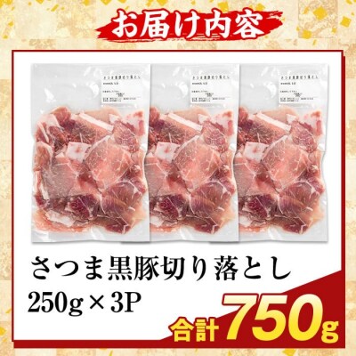 ＜訳あり＞鹿児島県産 さつま黒豚切り落とし(計750g) 【ふるさと産直バザール】K-429-A