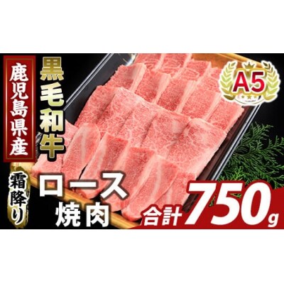 鹿児島県産A5等級黒毛和牛霜降り上ロース焼肉(計750g)【ふるさと産直バザール】K-482-C 