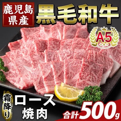 鹿児島県産A5等級黒毛和牛 霜降り上ロース焼肉(計500g)【ふるさと産直バザール】K-482-B
