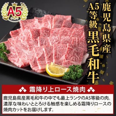 鹿児島県産A5等級黒毛和牛 霜降り上ロース焼肉(計500g)【ふるさと産直バザール】K-482-B