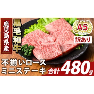 A5等級黒毛和牛不揃いロースミニステーキ(計480g) 【ふるさと産直バザール】K-479-B