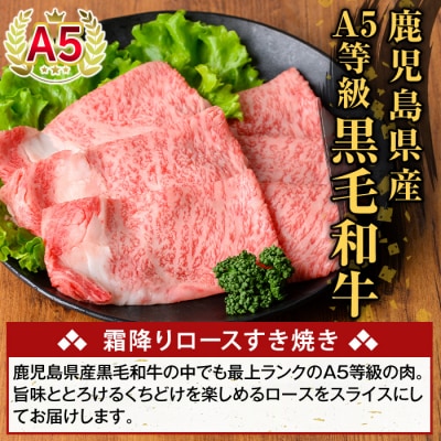鹿児島県産A5等級黒毛和牛 霜降りロースすき焼き(計500g)【ふるさと産直バザール】K-480-B