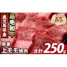 鹿児島県産A5等級黒毛和牛赤身上モモ焼肉(計250g)【ふるさと産直バザール】K-483-A 