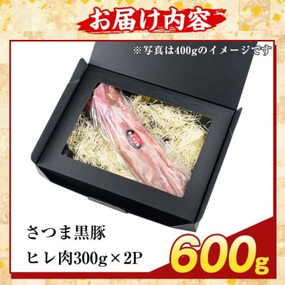 鹿児島県産さつま黒豚 ヒレ肉(計600g)【ふるさと産直バザール】K-484-B 