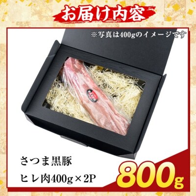 鹿児島県産さつま黒豚 ヒレ肉(計800g)【ふるさと産直バザール】K-484-C 