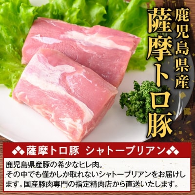 鹿児島県産 薩摩トロ豚 シャトーブリアン(計600g)【ふるさと産直バザール】K-487-B