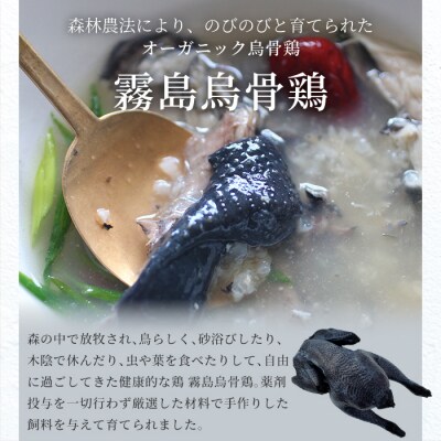 霧島烏骨鶏の参鶏湯(オゴルゲタン)(計2個)【スーパーミー】K-344-B
