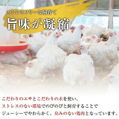 《訳あり》三世代続く鶏肉店の鶏刺し 未カット3種食べ比べセット(計1kg)【海江田鶏肉店】K-574