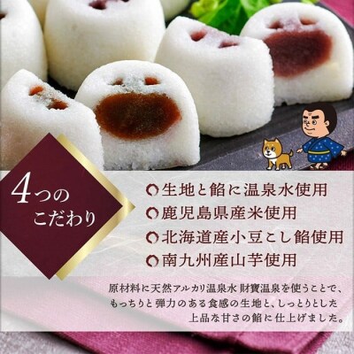 温泉かるかんまんじゅう(8個入り×1箱)計8個【財宝】　 K-593-A