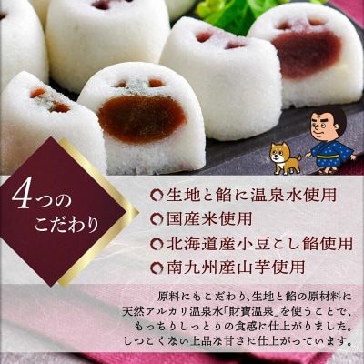 温泉かるかんまんじゅう(8個入り×1箱)計8個【財宝】　 K-593-A