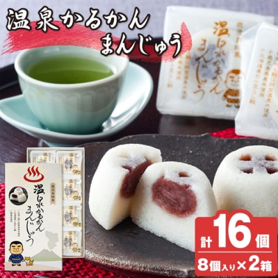 温泉かるかんまんじゅう(8個入り×2箱)計16個【財宝】　 K-593-B