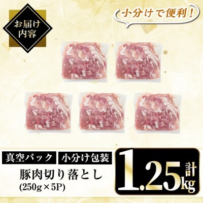 鹿児島県産豚肉切り落とし真空小分け計1.25kg(250g×5P)【肉の豊楽】A5-033-A