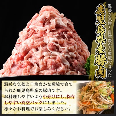 鹿児島県産豚肉切り落とし真空小分け計2.5kg(250g×10P)【肉の豊楽】A5-033-B