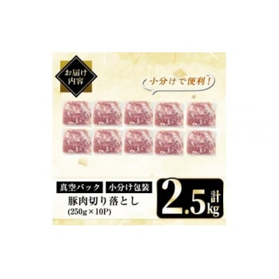 鹿児島県産豚肉切り落とし真空小分け計2.5kg(250g×10P)【肉の豊楽】A5-033-B