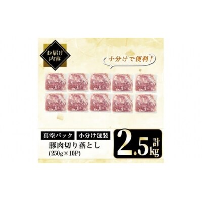 鹿児島県産豚肉切り落とし真空小分け計2.5kg(250g×10P)【肉の豊楽】A5-033-B