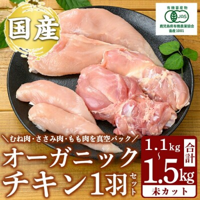 国産!オーガニックチキン1羽セット 未カット (計1.1kg～1.5kg)【お多福たまご】K-598