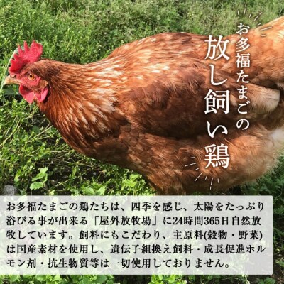 国産!オーガニックチキン1羽セット 未カット (計1.1kg～1.5kg)【お多福たまご】K-598