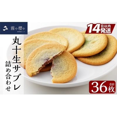 丸十生サブレ詰め合わせ(12枚入×3箱 計36枚)【徳重製菓とらや】C-086-A