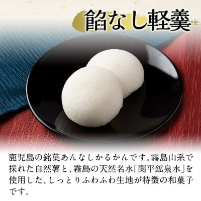  【6回定期便】鹿児島の銘菓かるかん(餡なし)(計126個)【徳重製菓とらや】A-195-B 