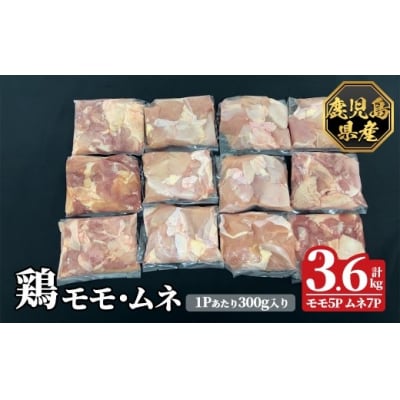 Y{ElZbg(v3.6kg)ynslXzK-615-B