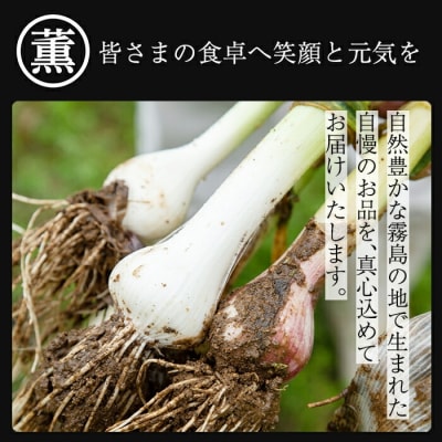 私のたれ 女だってにんにく(500ml×2本)【薩摩の薫農園】K-633 