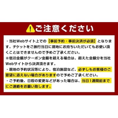 旅行クーポン(300,000円分)【JTA】K-600-D