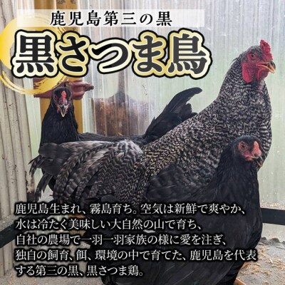 鹿児島県産黒さつま鶏 骨付きもも肉 2～3本(約1kg前後)【ビッグバード・カピリナ】K-687