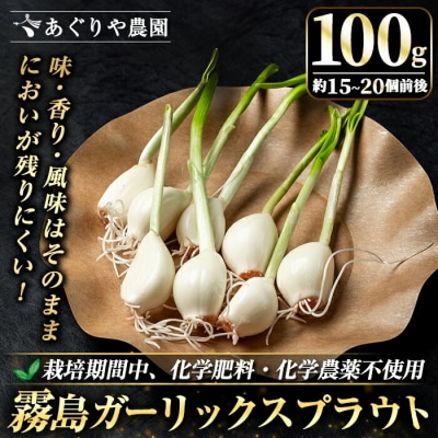 霧島ガーリックスプラウト 100g (約15～20個前後入り) 【あぐりや農園】 K-693 