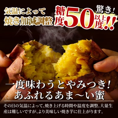 薩摩あま蜜完熟焼き芋<紅はるか>1kg!【フレッシュジャパン鹿児島】A-180-A