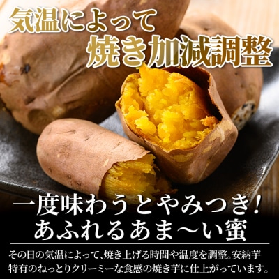 2026年11月以降順次発送　完熟焼き芋<安納芋>1kg【フレッシュジャパン鹿児島】　K-101-A