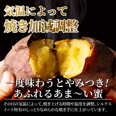 薩摩あま蜜完熟焼き芋<シルクスイート>1kg【フレッシュジャパン鹿児島】　A0-338-A