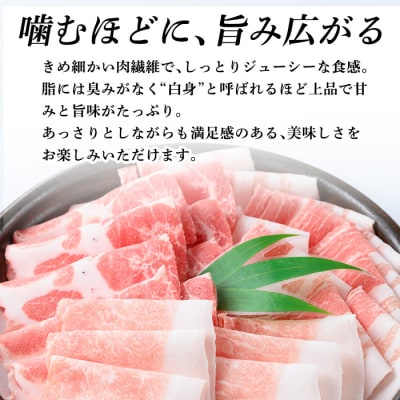 霧島ブランド神話豚の黒豚しゃぶしゃぶセット合計1.2kg【富士食品】K-699