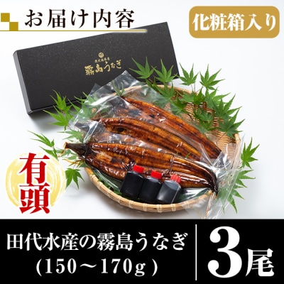霧島市育ちのあの「うなぎ」150～170g×3尾!【田代水産】　K-715