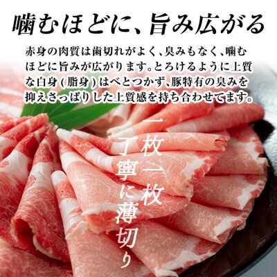 《6回定期便》鹿児島黒豚 しゃぶしゃぶ4種セット 計約4.8kg【富士食品】B-008-B
