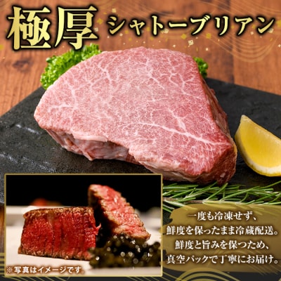 鹿児島県産A5黒毛和牛『極厚』シャトーブリアン(計600g)【ふるさと産直バザール】K-706-B